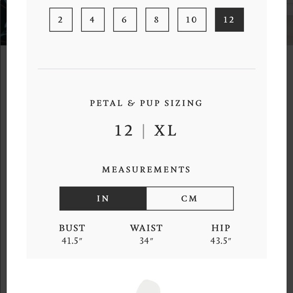 NWT - Red/rust colored  Petal and Pup dress. - Picture 9 of 9